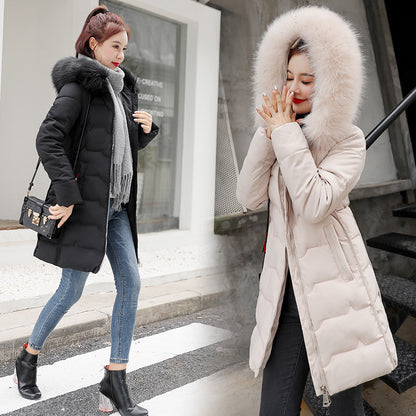 Fur collar down jacket