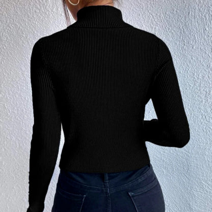 Slim Fit Sexy Long Sleeve Turtleneck Sweater