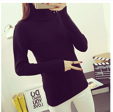 Thickened Slim Fit Sweaters