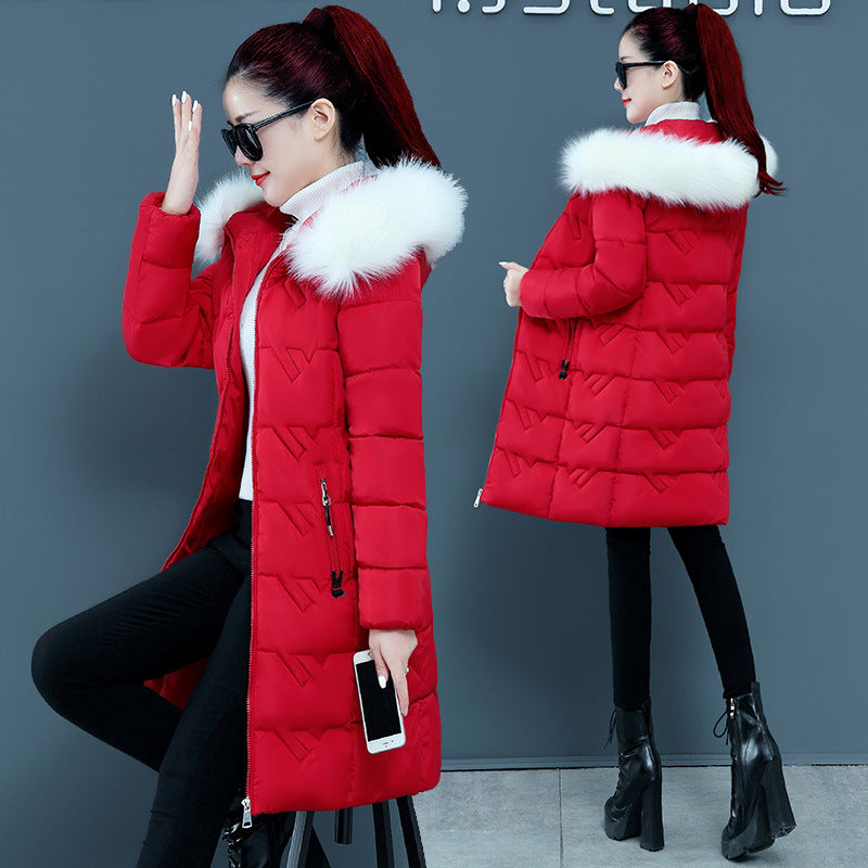 Hooded Big Fur Collar Cotton Jackets