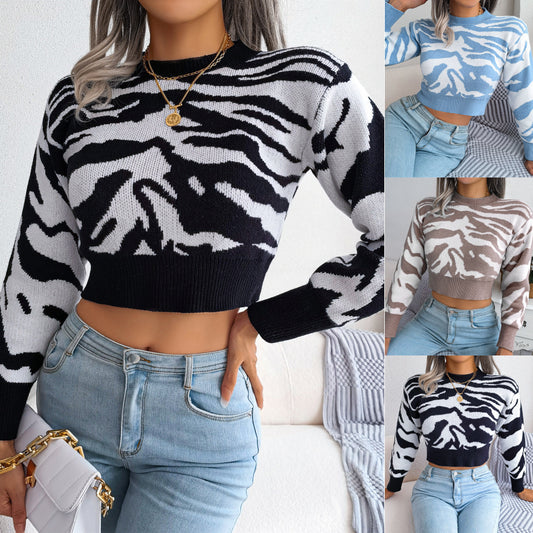 Long Sleeves Cropped Knitted Sweaters