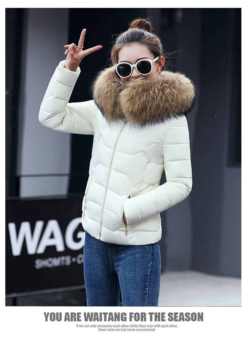 Short Slim Fit Fur Collar Jackets