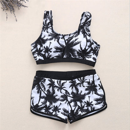 Coconut palm sports bikinis