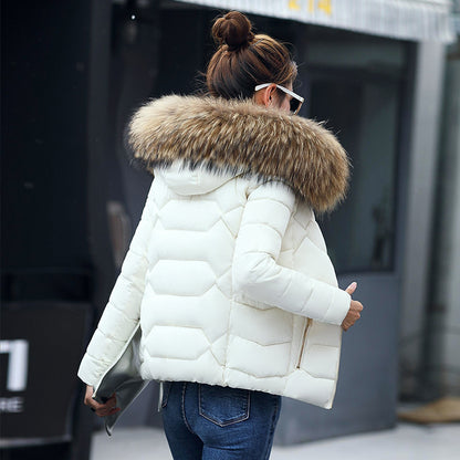 Short Slim Fit Fur Collar Jackets