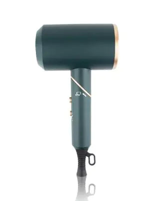 Negative Ion Electric Hair Dryer