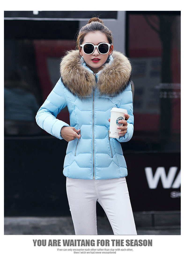 Short Slim Fit Fur Collar Jackets