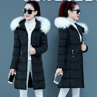 Hooded Big Fur Collar Cotton Jackets