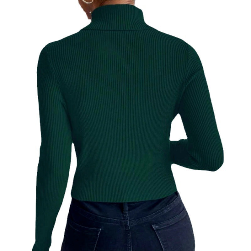 Slim Fit Sexy Long Sleeve Turtleneck Sweater