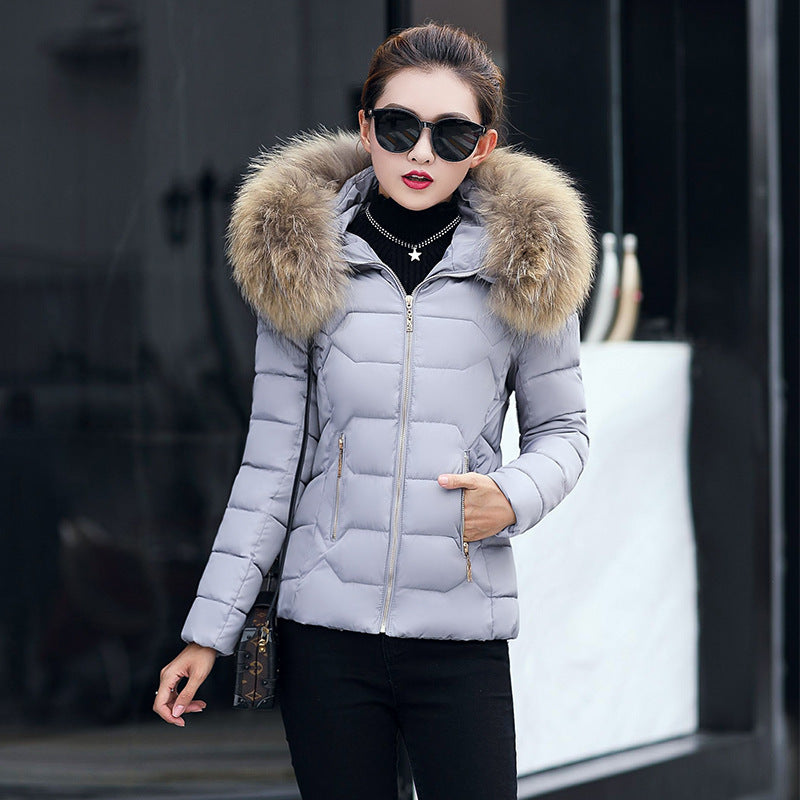 Short Slim Fit Fur Collar Jackets